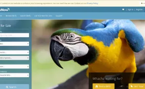 BirdsNow website