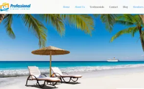 Professional Travel Center website