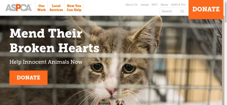 Screenshot American Society For The Prevention Of Cruelty To Animals [ASPCA]
