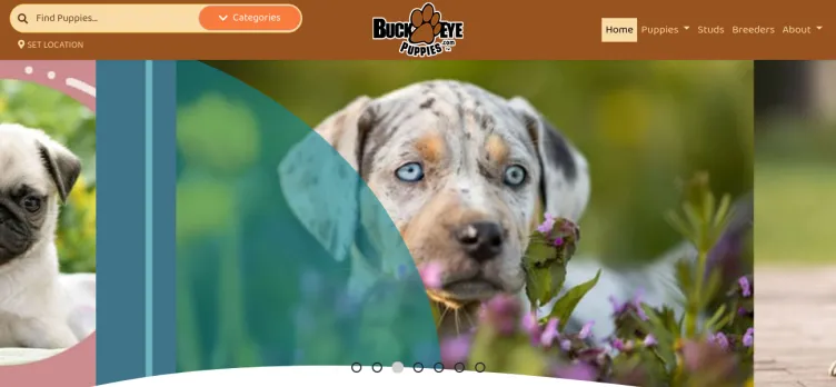 Screenshot BuckEyePuppies.com