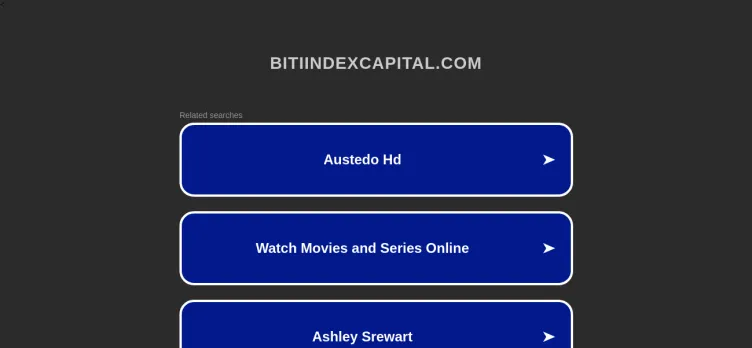 Screenshot Bit Index Capital