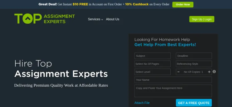 Screenshot Top Assignment Experts