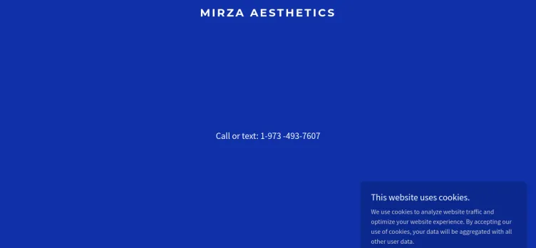 Screenshot Mirza Aesthetics