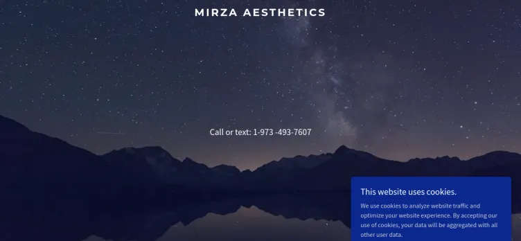 Screenshot Mirza Aesthetics