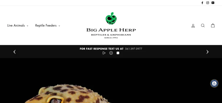 Screenshot Big Apple Pet Supply