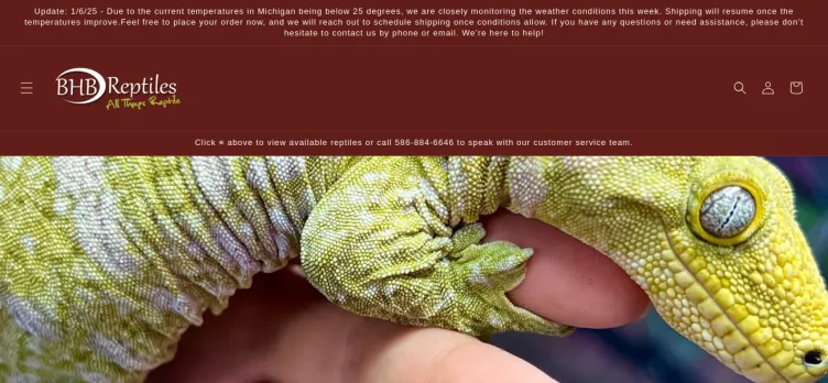 Screenshot BHB Reptiles