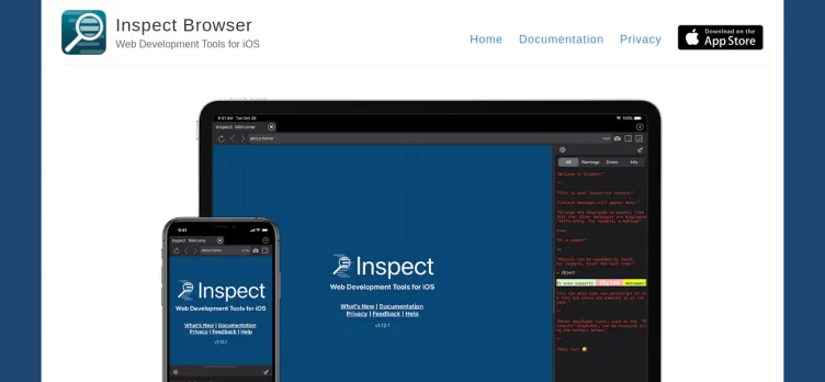 Screenshot Inspect Browser