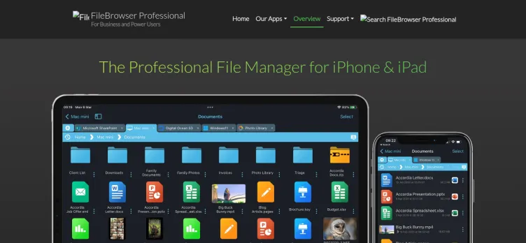 Screenshot FileBrowser Professional