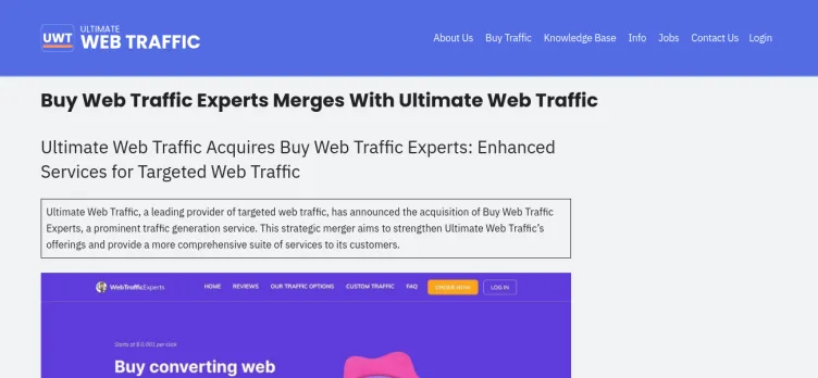 Screenshot Buy Web Traffic Experts