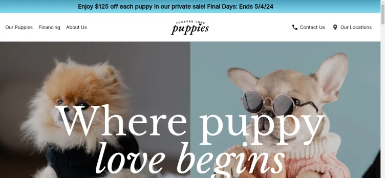 Screenshot Forever Love Puppies And Grooming