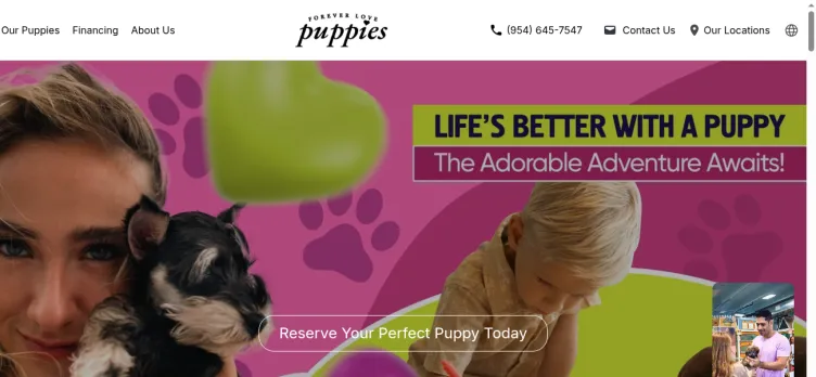 Screenshot Forever Love Puppies And Grooming