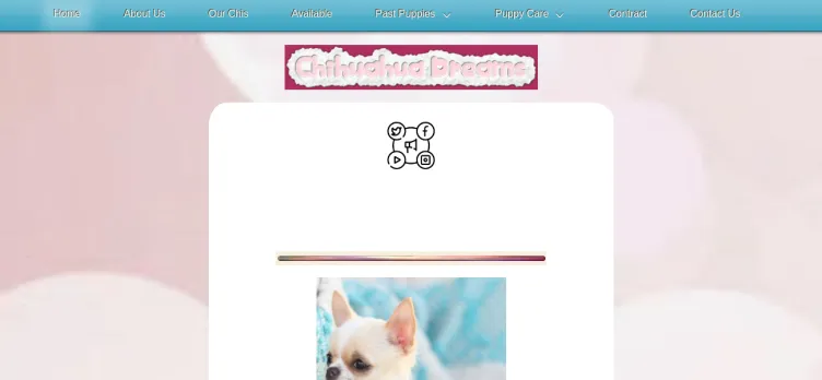 Screenshot ChihuahuaDreams