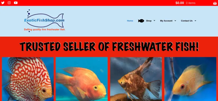 Screenshot Exotic Fish Shop