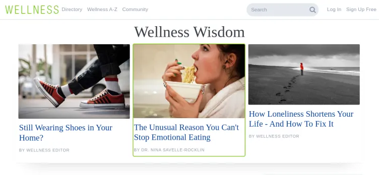 Screenshot Wellness.com