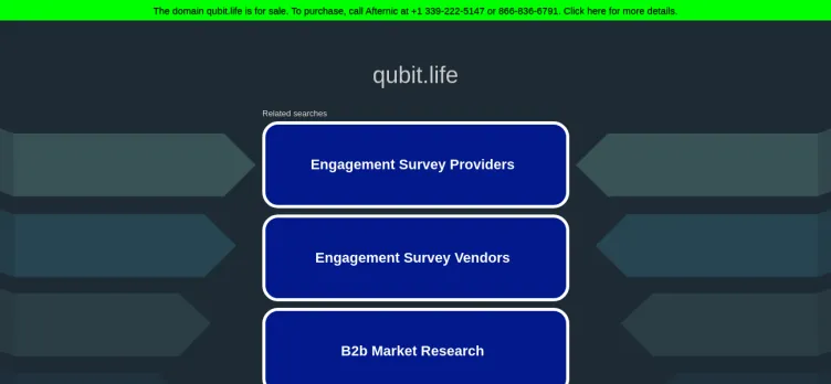 Screenshot Qubit.life