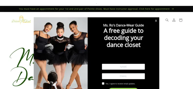 Screenshot Ms. Ro's Dance Closet