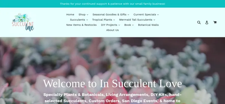Screenshot In Succulent Love