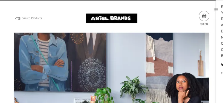 Screenshot Ariel Brands