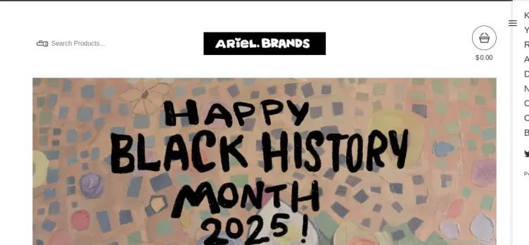 Screenshot Ariel Brands