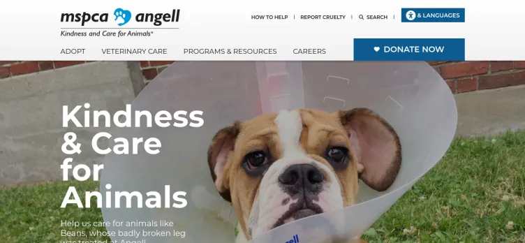 Screenshot MSPCA Angell