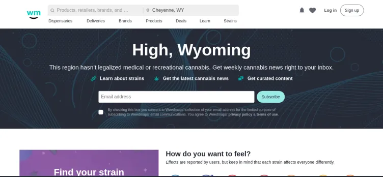 Screenshot Weedmaps Media