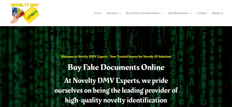 Screenshot Novelty Dmv Experts