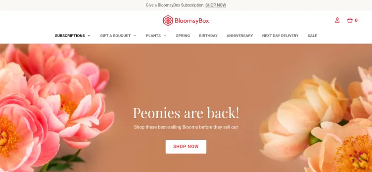 Screenshot Bloomsy Box.com