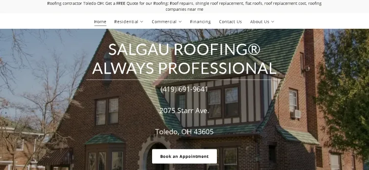 Screenshot Salgau Roofing