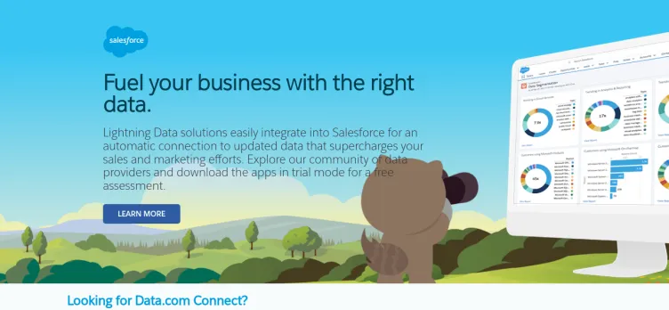 Screenshot Salesforce.com