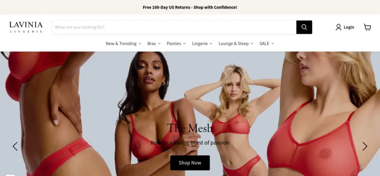 Screenshot Lavinia Lingerie