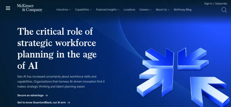 Screenshot McKinsey.com