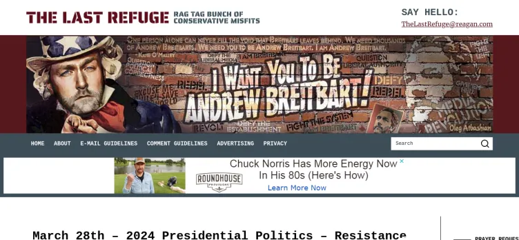 Screenshot TheConservativeTreehouse.com