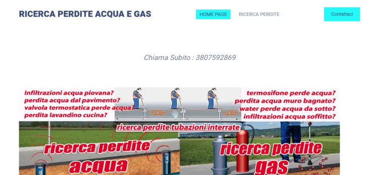 Screenshot RICERCA PERDITE ACQUA E GAS
