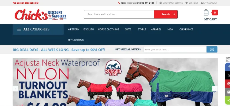 Screenshot Chicksaddlery.com