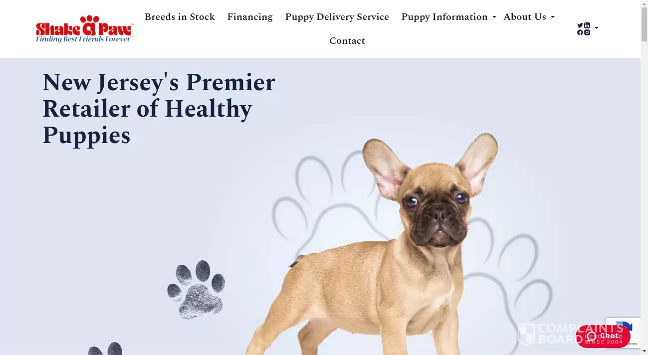 Shake A Paw Reviews 2024 All You Need to Know ComplaintsBoard