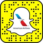 American Airlines Profile