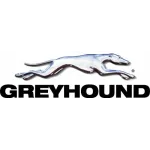 Greyhound Lines Profile