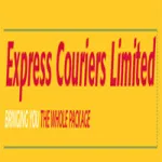 Express Courier Company Logo