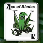 Ace of Blades Logo