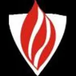 Alternative Fire Protection Services Logo
