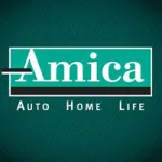 Amica company reviews