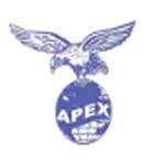 Apex Technology Group Inc