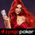 DNStination Inc. Profile