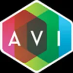 AVI Systems