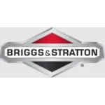 Briggs & Stratton Profile