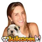 Bullcanes company logo