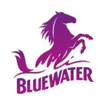 Bluewater UK Profile