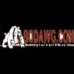 Bodawg.com Logo