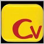 Car Vision company logo