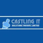 Castling It Solutions Private Limited Logo